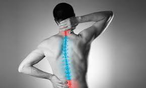 back pain new jersey